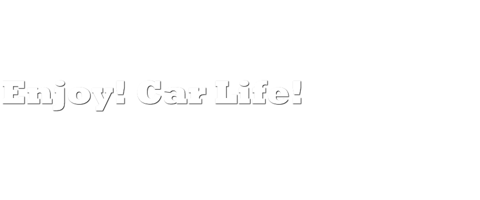 CARSメイン画像